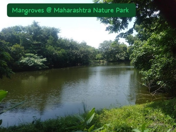 world-nature-conservation-day (2)